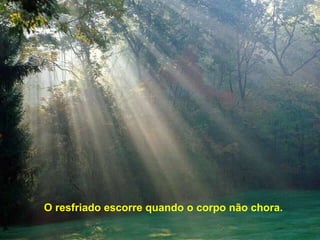 O resfriado escorre quando o corpo não chora. 