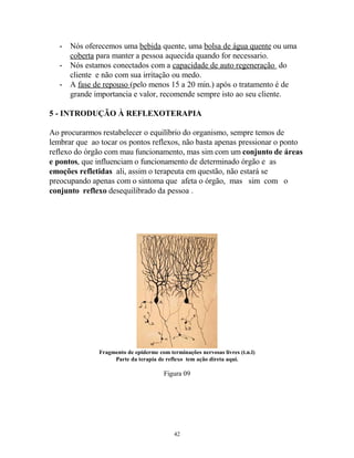- Nós oferecemos uma bebida quente, uma bolsa de água quente ou uma
coberta para manter a pessoa aquecida quando for necessario.
- Nós estamos conectados com a capacidade de auto regeneração do
cliente e não com sua irritação ou medo.
- A fase de repouso (pelo menos 15 a 20 min.) após o tratamento é de
grande importancia e valor, recomende sempre isto ao seu cliente.
5 - INTRODUÇÃO À REFLEXOTERAPIA
Ao procurarmos restabelecer o equilíbrio do organismo, sempre temos de
lembrar que ao tocar os pontos reflexos, não basta apenas pressionar o ponto
reflexo do órgão com mau funcionamento, mas sim com um conjunto de áreas
e pontos, que influenciam o funcionamento de determinado órgão e as
emoções refletidas ali, assim o terapeuta em questão, não estará se
preocupando apenas com o sintoma que afeta o órgão, mas sim com o
conjunto reflexo desequilibrado da pessoa .
Fragmento de epiderme com terminações nervosas livres (t.n.l)
Parte da terapia de reflexo tem ação direta aqui.
Figura 09
42
 