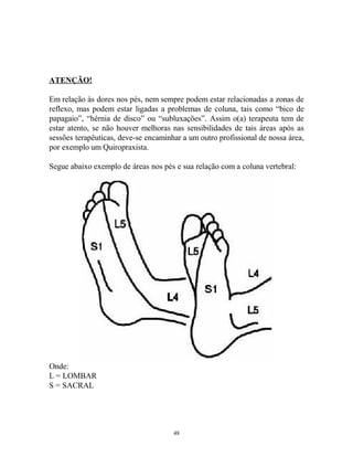 ATENÇÃO!
Em relação às dores nos pés, nem sempre podem estar relacionadas a zonas de
reflexo, mas podem estar ligadas a problemas de coluna, tais como “bico de
papagaio”, “hérnia de disco” ou “subluxações”. Assim o(a) terapeuta tem de
estar atento, se não houver melhoras nas sensibilidades de tais áreas após as
sessões terapêuticas, deve-se encaminhar a um outro profissional de nossa área,
por exemplo um Quiropraxista.
Segue abaixo exemplo de áreas nos pés e sua relação com a coluna vertebral:
Onde:
L = LOMBAR
S = SACRAL
48
 