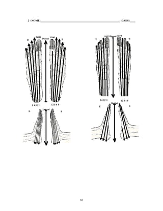 2 - NOME:___________________________________________________________ IDADE:____
60
 