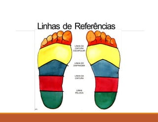 Linhas de Referências
 