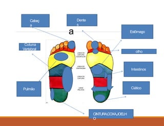 Cabeç
a Estômago
Coluna
Vertebral
Ciático
Cabeç
a
Intestinos
Pulmão
olho
Dente
s
CINTURA,COXA,JOELH
O
 