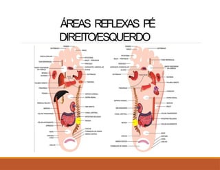 ÁREAS REFLEXAS PÉ
DIREITO/ESQUERDO
 