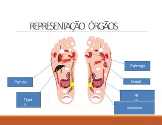 REPRESENT
AÇÃO ÓRGÃOS
Pulmão
Fígad
o
Estômago
Coraçã
o
Ri
m
Intestinos
 