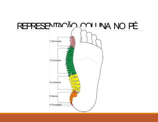 REPRESENT
AÇÃO COLUNA NO PÉ
 