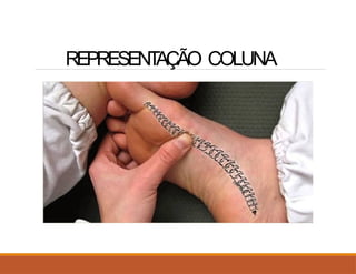 REPRESENT
AÇÃO COLUNA
 