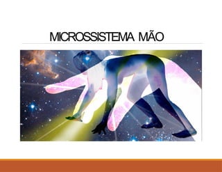 MICROSSISTEMA MÃO
 