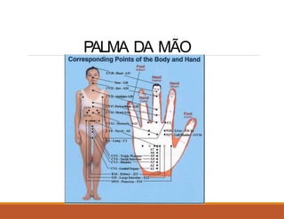 PALMA DA MÃO
 