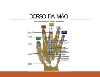 DORSO DA MÃO
 