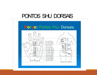 PONTOS SHU DORSAIS
 