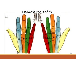 LINHAS DA MÃO
 