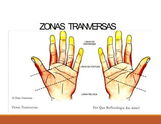ZONAS TRANVERSAS
 