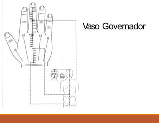 Vaso Governador
 