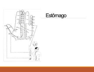 Estômago
 