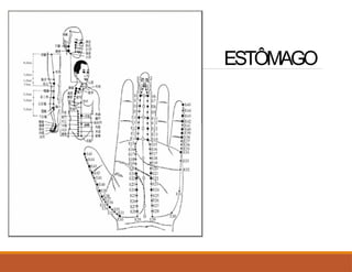 ESTÔMAGO
 