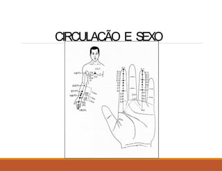 CIRCULAÇÃO E SEXO
 