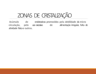 ZONAS DE CRISTALIZAÇÃO
Acúmulo de endotoxinas promovidos pela debilidade da micro
circulação, pelo uso excessivo de alimentação irregular, falta de
atividade físicae outros.
 