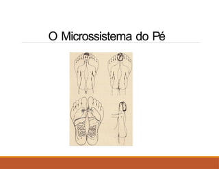 O Microssistema do Pé
 