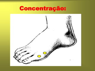 Concentração:
 