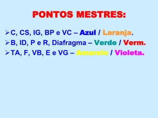 PONTOS MESTRES:
C, CS, IG, BP e VC – Azul / Laranja.
B, ID, P e R, Diafragma – Verde / Verm.
TA, F, VB, E e VG – Amarelo / Violeta.
 