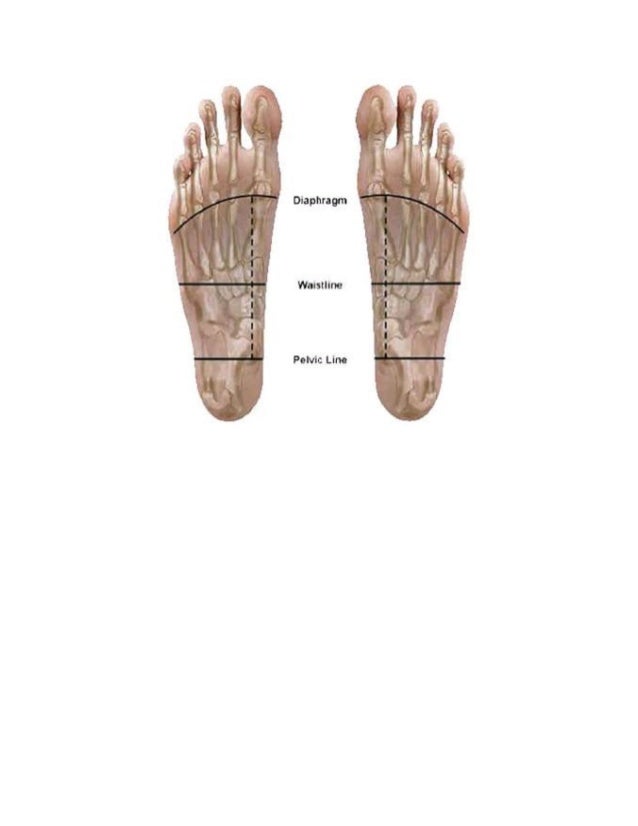 Reflexology beginners guide to eliminate pain, lose weight ingrid s…