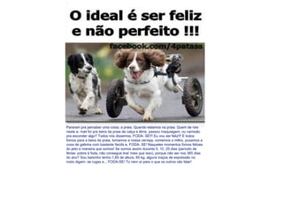 Pararam pra perceber uma coisa, a praia. Quando estamos na praia. Quem de nós neste e- mail foi pra beira da praia de calça e tênis, passou maquiagem, ou camisão pra esconder algo? Todos nós dissemos, FODA- SE!!! Eu vou ser feliz!!! E todos fomos para a beira da praia, tomamos a nossa cerveja, comemos o milho, puxamos a coxa de galinha com bastante farofa e, FODA- SE! Naqueles momentos fomos felizes do jeito e maneira que somos! Se somos assim durante 5, 10, 25 dias (período de férias- pobre é foda, não consegue tirar mais que isso), porque não ser nos 365 dias do ano? Sou baixinho tenho 1,65 de altura, 65 kg, alguns traços de expressão no rosto digam- se rugas e... FODA-SE! To nem aí para o que os outros vão falar! 