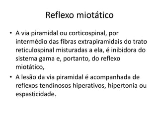 Reflexo miotático
• A via piramidal ou corticospinal, por
intermédio das fibras extrapiramidais do trato
reticulospinal misturadas a ela, é inibidora do
sistema gama e, portanto, do reflexo
miotático,
• A lesão da via piramidal é acompanhada de
reflexos tendinosos hiperativos, hipertonia ou
espasticidade.
 