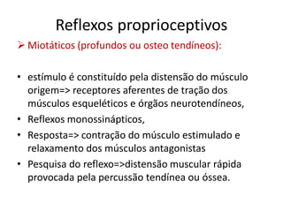 Reflexos proprioceptivos
 Miotáticos (profundos ou osteo tendíneos):
• estímulo é constituído pela distensão do músculo
origem=> receptores aferentes de tração dos
músculos esqueléticos e órgãos neurotendíneos,
• Reflexos monossinápticos,
• Resposta=> contração do músculo estimulado e
relaxamento dos músculos antagonistas
• Pesquisa do reflexo=>distensão muscular rápida
provocada pela percussão tendínea ou óssea.
 