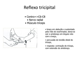 Reflexo tricipital
• Centro=>C6-C8
• Nervo radial
• Músculo tríceps
• braço em abdução e sustentado
pela mão do examinador, deixa-se
cair o antebraço em ângulo reto
com o braço,
• percussão do tendão distal do
tríceps,
• resposta: contração do tríceps,
com extensão do antebraço.
 
