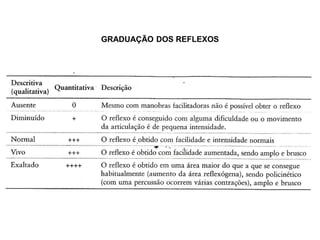 GRADUAÇÃO DOS REFLEXOS
 