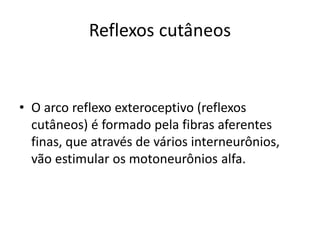Reflexos cutâneos
• O arco reflexo exteroceptivo (reflexos
cutâneos) é formado pela fibras aferentes
finas, que através de vários interneurônios,
vão estimular os motoneurônios alfa.
 