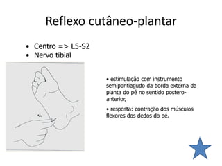 Reflexo cutâneo-plantar
• Centro => L5-S2
• Nervo tibial
• estimulação com instrumento
semipontiagudo da borda externa da
planta do pé no sentido postero-
anterior,
• resposta: contração dos músculos
flexores dos dedos do pé.
 