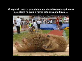 O segundo exacto quando o atleta de salto em comprimento
se enterra na areia e forma esta estranha figura…
 