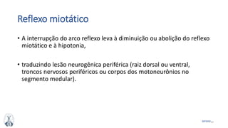 12MFMM
Reflexo miotático
• A interrupção do arco reflexo leva à diminuição ou abolição do reflexo
miotático e à hipotonia,
• traduzindo lesão neurogênica periférica (raiz dorsal ou ventral,
troncos nervosos periféricos ou corpos dos motoneurônios no
segmento medular).
 