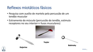 13MFMM
Reflexos miotáticos fásicos
• Pesquisa com auxílio de martelo pela percussão de um
tendão muscular
• Estiramento do músculo (percussão do tendão, estimula
receptores no seu interior=> fusos musculares)
Dejerine
Teylor
Babinsky
 