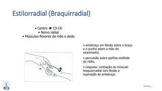 17MFMM
Estilorradial (Braquirradial)
• Centro  C5-C6
• Nervo radial
• Músculos flexores da mão e dedo
• antebraço em flexão sobre o braço
e o punho sobre a mão do
examinador,
• percussão sobre apófise estilóide
do rádio,
• resposta: contração do músculo
braquiorradial com flexão e
supinação do antebraço.
 