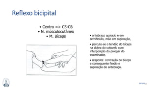 19MFMM
Reflexo bicipital
• Centro => C5-C6
• N. músculocutâneo
• M. Bíceps • antebraço apoiado e em
semiflexão, mão em supinação,
• percute-se o tendão do bíceps
na dobra do cotovelo com
interposição do polegar do
examinador,
• resposta: contração do bíceps
e consequente flexão e
supinação do antebraço.
 