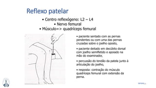 29MFMM
Reflexo patelar
• Centro reflexógeno: L2 – L4
• Nervo femural
• Músculo=> quadríceps femural
• paciente sentado com as pernas
pendentes ou com uma das pernas
cruzadas sobre o joelho oposto,
• paciente deitado em decúbito dorsal
com joelho semifletido e apoiado na
mão do examinador,
• percussão do tendão da patela junto à
articulação do joelho,
• resposta: contração do músculo
quadríceps femural com extensão da
perna.
 