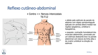 48MFMM
Reflexo cutâneo-abdominal
• Centro => Nervos intercostais
T6-T12
• obtido pelo estímulo da parede do
abdome com objeto semipontiagudo
aplicado em sentido látero-medial nas
regiões epigástrica, umbilical e
hipogástrica,
• resposta: contração homolateral dos
músculos abdominais, provocado por
um estímulo deslizante leve na parede
abdominal com desvio da linha alba e
da cicatriz umbilical na direção do
estímulo
 