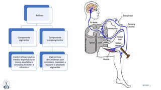 5MFMM
Reflexo
Componente
segmentar
Centro reflexo local na
medula espinhal ou no
tronco encefálico +
conexões aferentes e
eferentes
Componente
suprassegmentar
Vias centrais
descendentes que
controlam, modulam e
regulam a atividade
segmentar
 