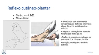 50MFMM
Reflexo cutâneo-plantar
• Centro => L5-S2
• Nervo tibial
• estimulação com instrumento
semipontiagudo da borda externa da
planta do pé no sentido postero-
anterior,
• resposta: contração dos músculos
flexores dos dedos do pé.
•flexão é a resposta normal após os
primeiros 12 a 18 meses de vida
•Variação patológica=> sinal de
Babinski
 