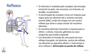 6MFMM
Reflexos • O estímulo é recebido pelo receptor (terminação
sensorial na pele, nas mucosas, no músculo, no
tendão, no periósteo
• A estimulação do receptor inicia um impulso que
segue pela via aferente até o sistema nervoso
central (SNC), onde há sinapse em um centro
reflexo que ativa o corpo celular do neurônio
eferente
• O neurônio eferente transmite o impulso para o
efetor: a célula, músculo, glândula ou vaso
sanguíneo que então responde
• Um distúrbio na função de uma parte do arco
reflexo (receptor, via aferente, centro do reflexo,
via eferente ou aparelho efetor=> interrompe o
arco reflexo=> diminuição ou perda do reflexo
 
