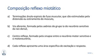 8MFMM
Composição reflexo miotático
a) Terminações ânulo-espirais do fuso muscular, que são estimuladas pela
distensão ou estiramento do músculo,
b) Via aferente, formada pelos axônios do grupo Ia do neurônio sensitivo
da raiz dorsal,
c) Centro reflexo, formado pela sinapse entre o neurônio motor sensitivo e
o motoneurônio,
d) Cada reflexo apresenta uma área específica de excitação e resposta.
 