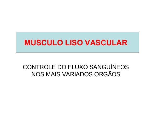 Asiáticos e pequenos pênis de uma pornografia