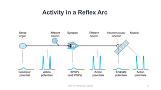Reflex Grid Reflex | PDF