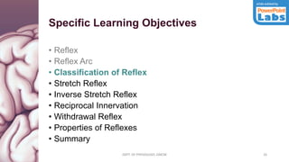 Git Reflex Classify Reflex | PDF