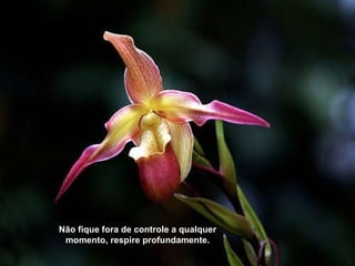 Não fique fora de controle a qualquer momento, respire profundamente. 