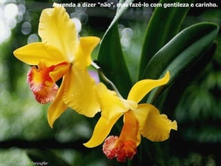 Aprenda a dizer "não", mas fazê-lo com gentileza e carinho. 