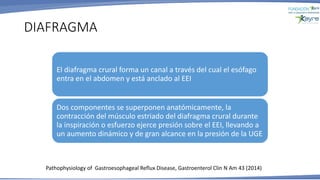 DIAFRAGMA
Pathophysiology of Gastroesophageal Reflux Disease, Gastroenterol Clin N Am 43 (2014)
El diafragma crural forma un canal a través del cual el esófago
entra en el abdomen y está anclado al EEI
Dos componentes se superponen anatómicamente, la
contracción del músculo estriado del diafragma crural durante
la inspiración o esfuerzo ejerce presión sobre el EEI, llevando a
un aumento dinámico y de gran alcance en la presión de la UGE
 