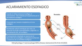 ACLARAMIENTO ESOFAGICO
Pathophysiology of Gastroesophageal Reflux Disease, Gastroenterol Clin N Am 43 (2014)
Cuando el reflujo alcanza el esófago, el
aclaramiento está mediado principalmente por el
peristaltismo esofágico
Provocada por mecano receptores en la luz
esofágica
Bicarbonato salival contribuye aún más a la
remoción de ácido neutralizándolo y logrando la
normalización del pH esofágico .
El aclaramiento retardado se asocia con el
desarrollo de la esofagitis y metaplasia de Barrett.
( Trastornos de la motilidad esofágica)
 